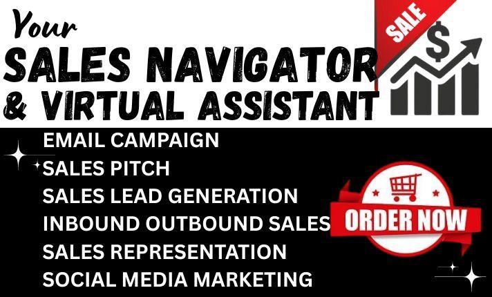 I will do B2B Leads Generation LinkedIn Scraping Sales Lead Google Map Scraping