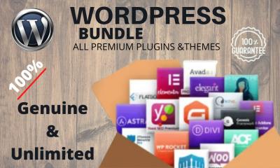 I Will Install Elementor Pro, Astra Pro, Yoast SEO, WP Rocket Premium WordPress Plugin
