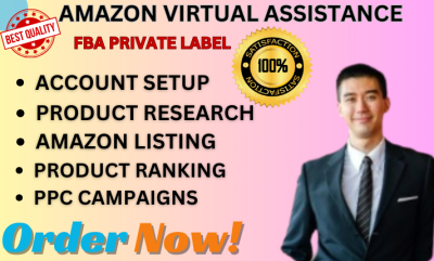 I will be your expert Amazon FBA Virtual Assistant, Amazon VA, Amazon Account Manager