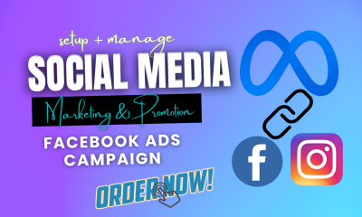 I Will Do Social Media Marketing, Facebook Instagram Ads Campaign & Meta Ads Manager