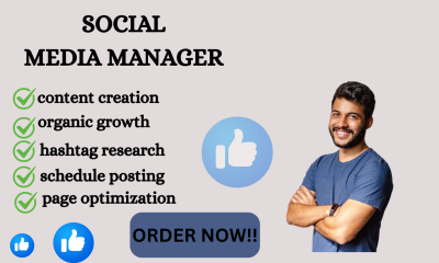 I will do Twitch Promotion Organic YouTube Promotion to Boost Video View and Channel
