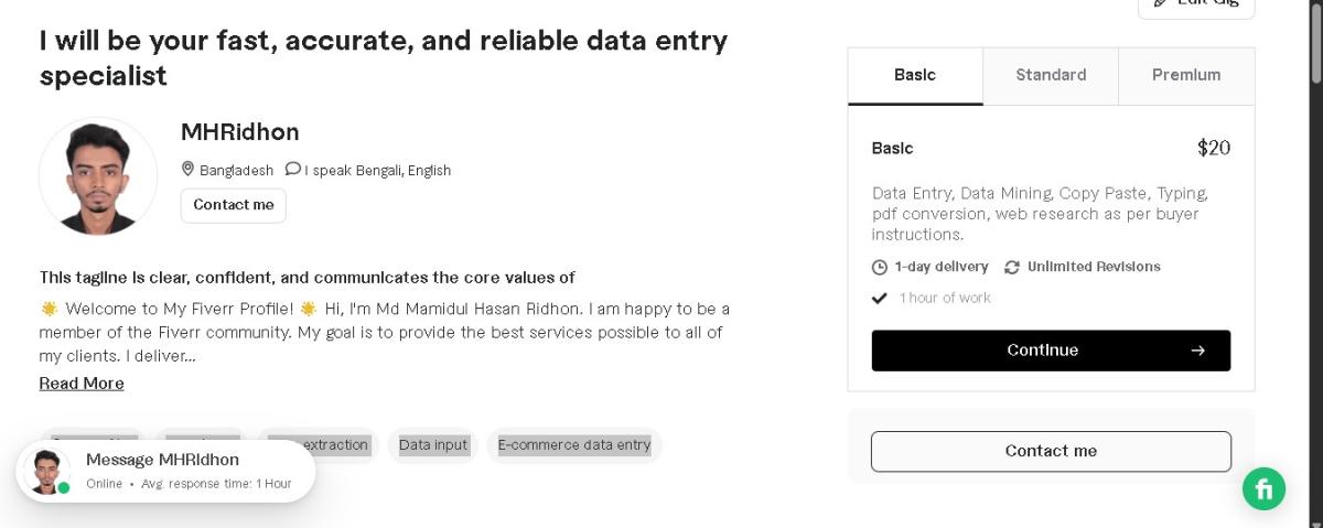 I will be your fast, accurate, and reliable data entry specialist