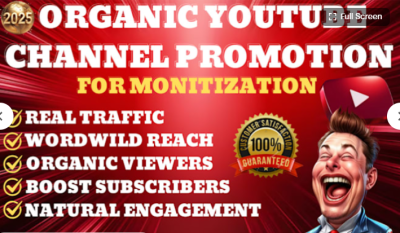 I will do organic YouTube video promotion for channel growth and engagement