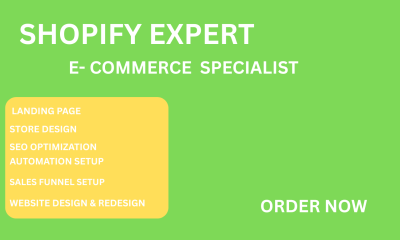 I Will Design & Redesign Shopify Store | Shopify Dropshipping & Website