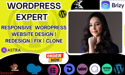 I will design or develop WordPress website clone, edit layout, and fix WordPress issues