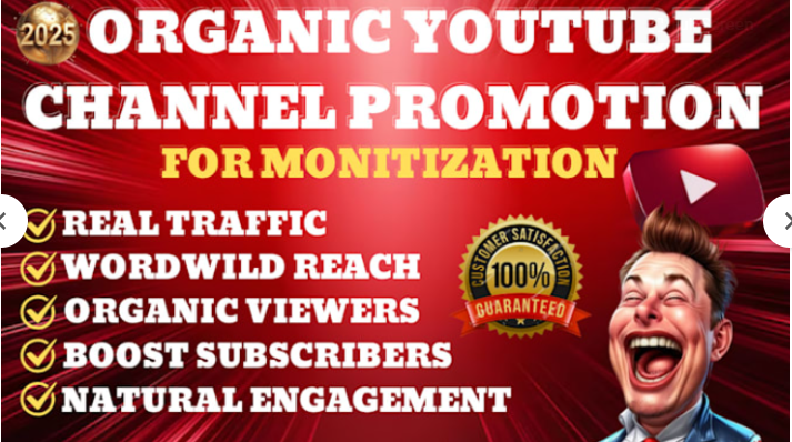 I will do organic YouTube video promotion for channel growth and engagement