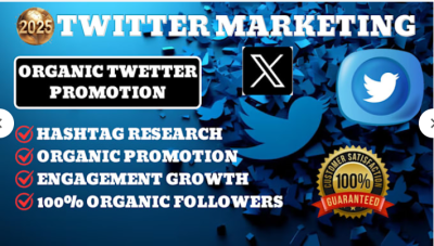 I will do 2025 x Twitter marketing and promotion with organic growth