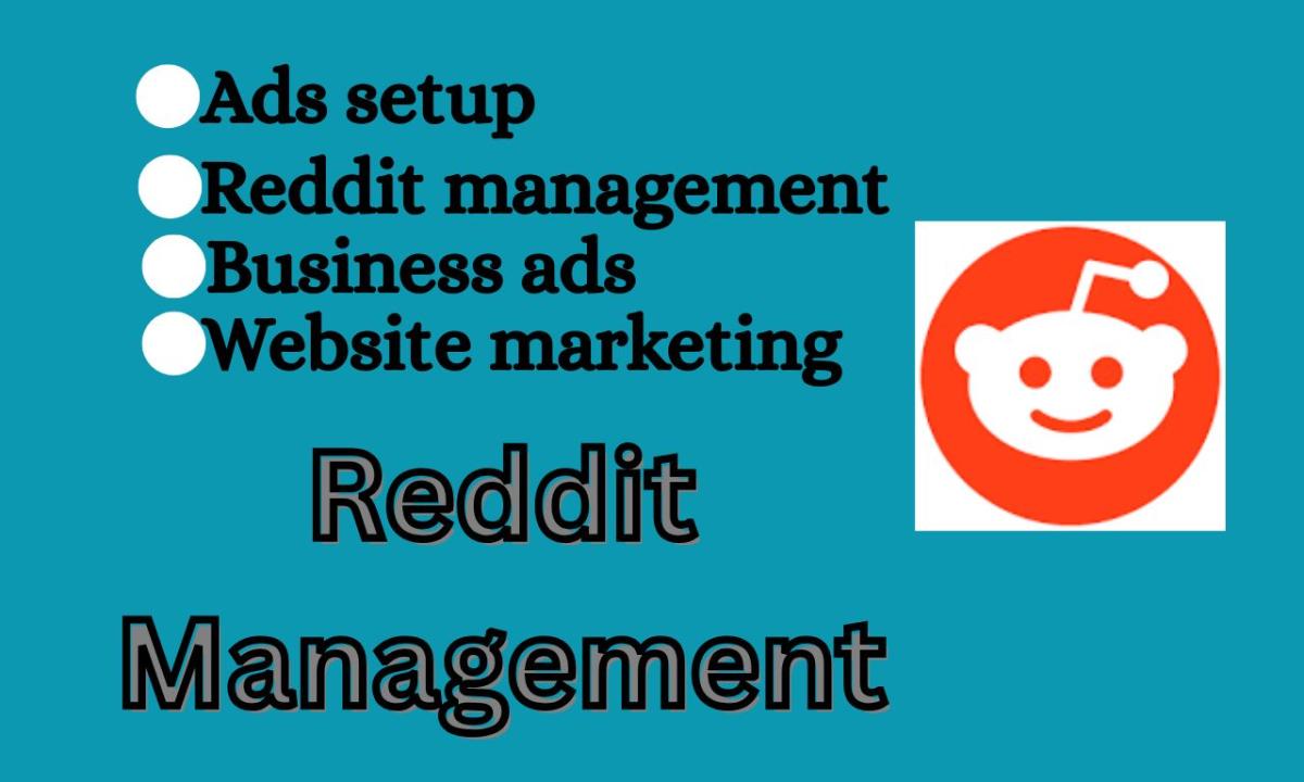 I Will Manage and Setup Reddit Ads Campaigns & Reddit Post Management for Business