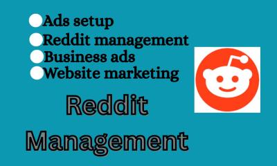 I Will Manage and Setup Reddit Ads Campaigns & Reddit Post Management for Business