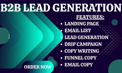 I will do Email Campaign, Email Lead, and Newsletter for B2B Leads
