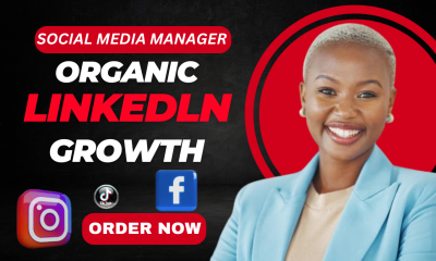 I Will Social Media Manage for Organic LinkedIn, TikTok, and Instagram Marketing
