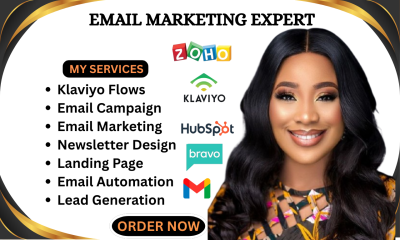 I will design Brevo email marketing newsletter templates & Brevo automation workflow