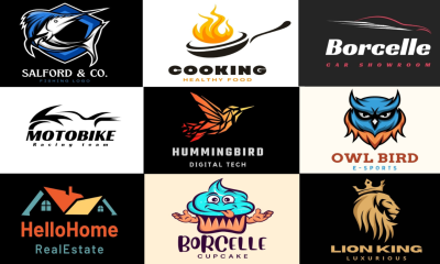 I will design, redesign, fix, edit, modify or vectorize your logo