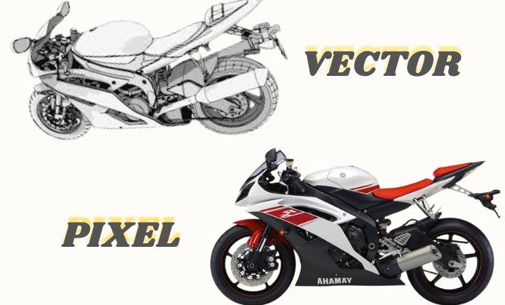 I will convert any image to vector art illustration line art