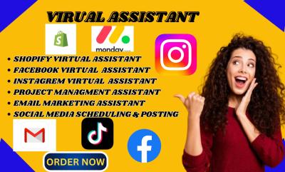 I will be your personal executive administrative Shopify assistant data entry expert