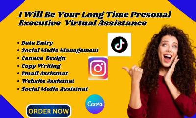 I will be your long term personal executive administrative virtual assistant data entry