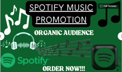 I Will Promote Your Music to Real Spotify Playlist Curators and Fans