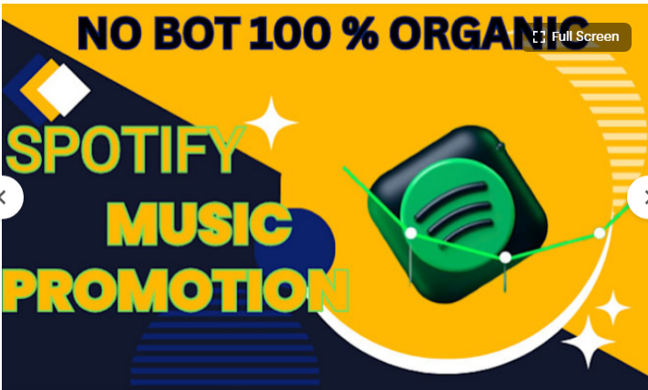 I Will Help You Promote Your Spotify Music with Organic Growth and Playlist Pitching