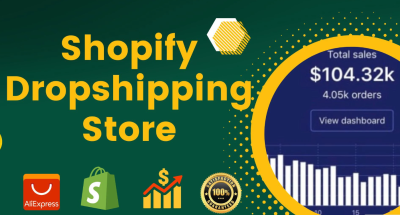 I will design profitable Shopify dropshipping store or Shopify website