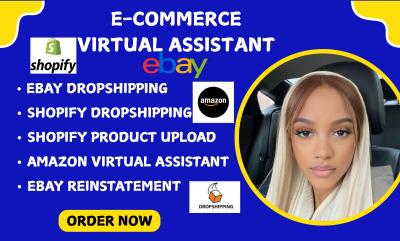 I will be eBay Virtual Assistant | eBay Dropshipping | Shopify Personal Assistant | Amazon VA