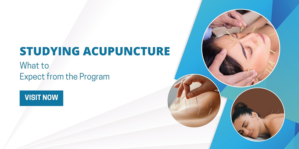 Studying Acupuncture: What to Expect from the Program