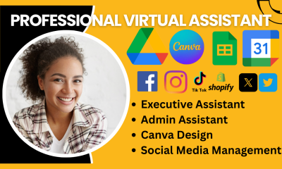 I will be your long-term personal business executive administrative virtual assistant social media manager data entry