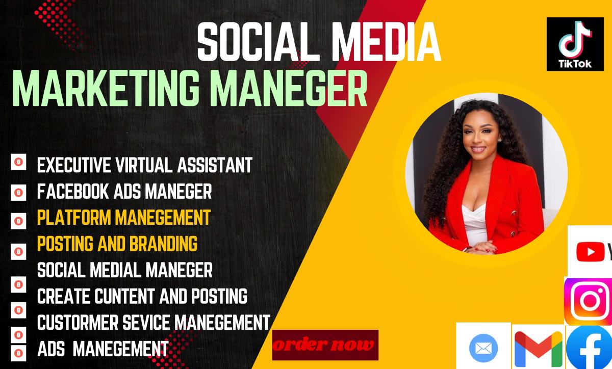 be personal administrative executive virtual assistant data entry web research Tasks