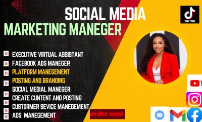 be personal administrative executive virtual assistant data entry web research Tasks