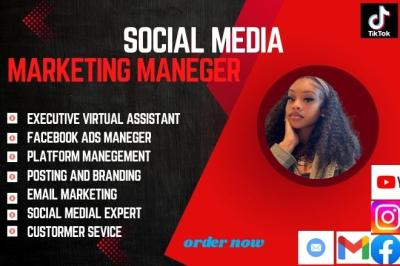 be your social media manager canva graphic designer personal virtual assistant