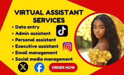 I Will Be Your Long Term Personal Administrative Executive Virtual Assistant Data Entry