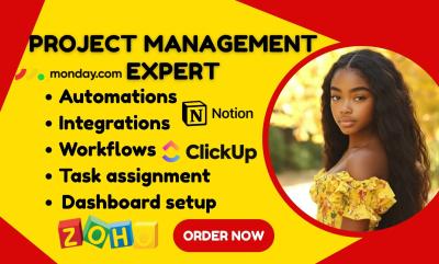 I will manage projects and build custom workflows on Notion, Monday.com, ClickUp, Trello, Asana