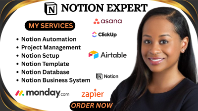 I will create Notion template design, Notion automation, Notion workspace, CRM assistant