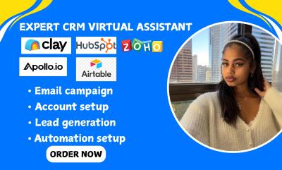 I will setup Clay Com Workflow HubSpot Automation Apollo IO Zoho CRM Zapier Automation