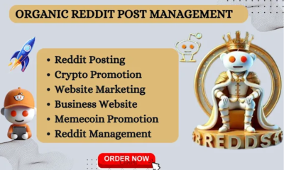I Will Manage and Set Up Reddit Ads Campaigns & Reddit Post Management for Business