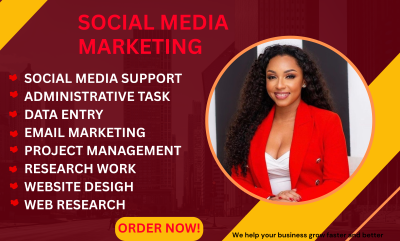 be your personal administrative executive virtual assistant shopify data entry