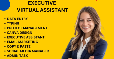 I will monthly social media manager social media executive virtual assistant