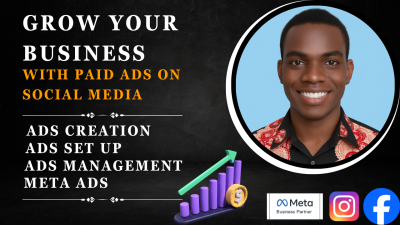 I will set up Facebook and Instagram Ads Campaign for Your Business