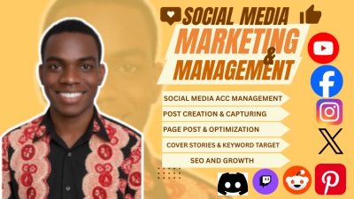 I Will Be Your Social Media Manager and Content Creator