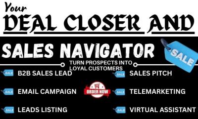 https://www.fiverr.com/hailey_clifford/sales-deal-closer-virtual-assistant-b2b-lead-generation-telemarketing-sales-rep