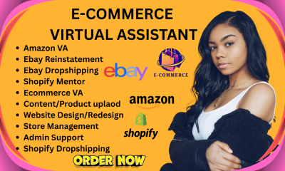 I will be your Ecommerce VA Shopify Amazon eBay Dropshipping Admin Personal Assistant