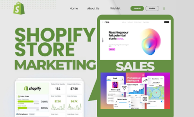 I will do ecommerce Shopify marketing to boost Shopify sales