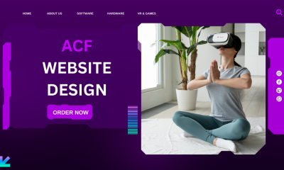 I will build advanced WordPress fields with ACF for custom layouts
