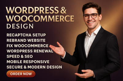 I will WordPress website de site web optimisé clone développement refaire votre site