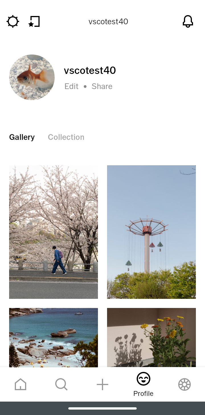 How to share my VSCO profile on my Instagram website or blog The 