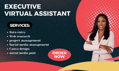 I will be your social media virtual assistant, data entry, web research