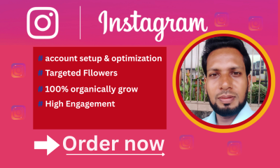 I will organically grow your Instagram account and digital marketing