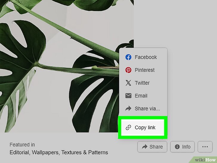 How to Remove Pictures from the Internet and Social Media