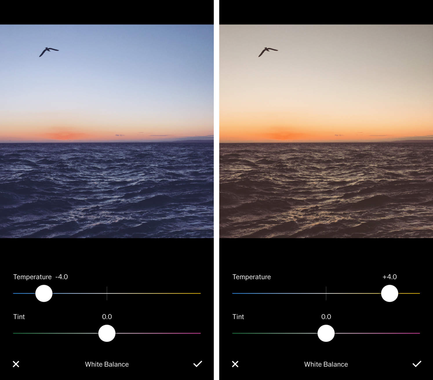 Ultimate Guide to Using VSCO Image Cleaner for Stunning Photos