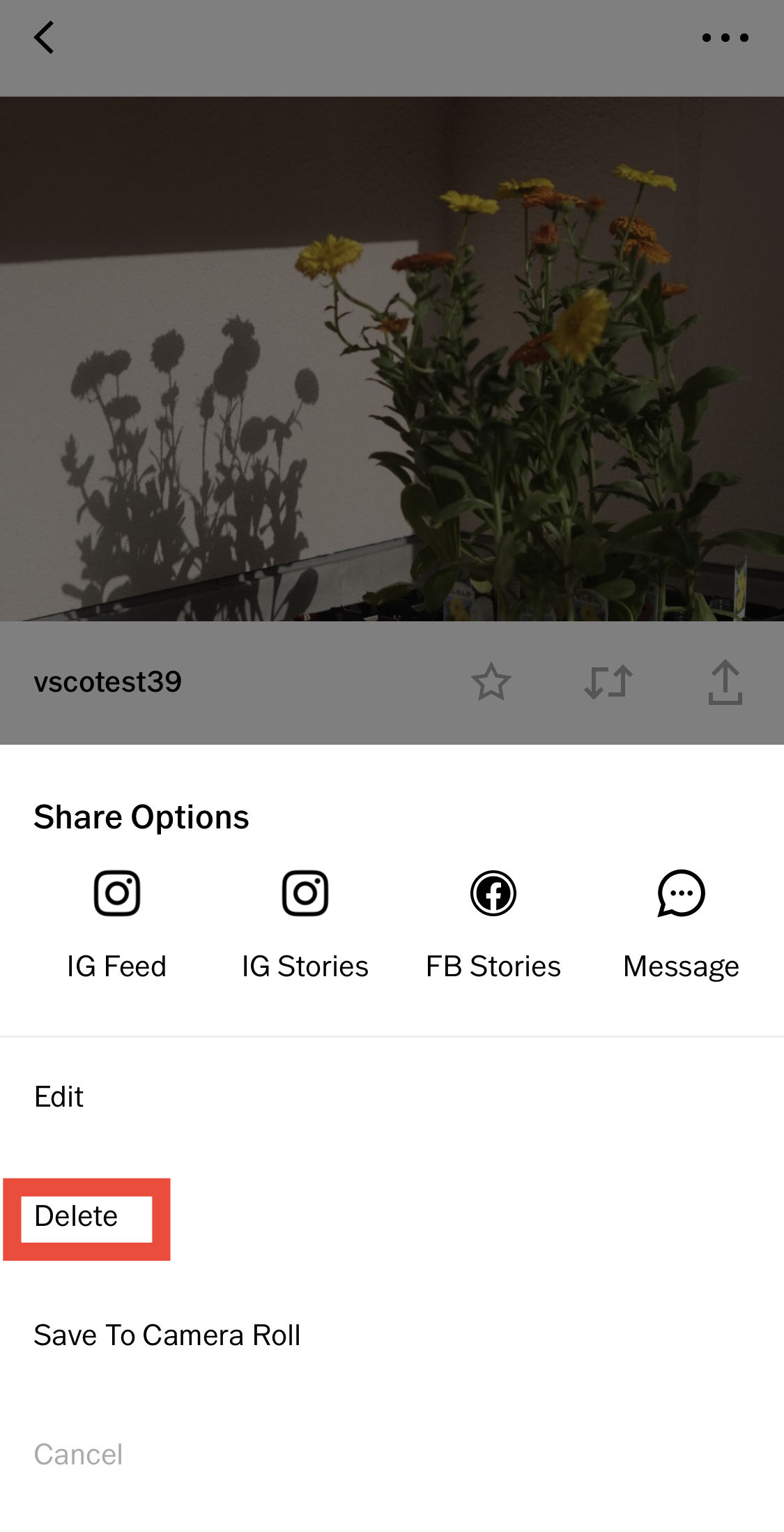 How do I delete an image or DSCO from my VSCO Profile The VSCO Help
