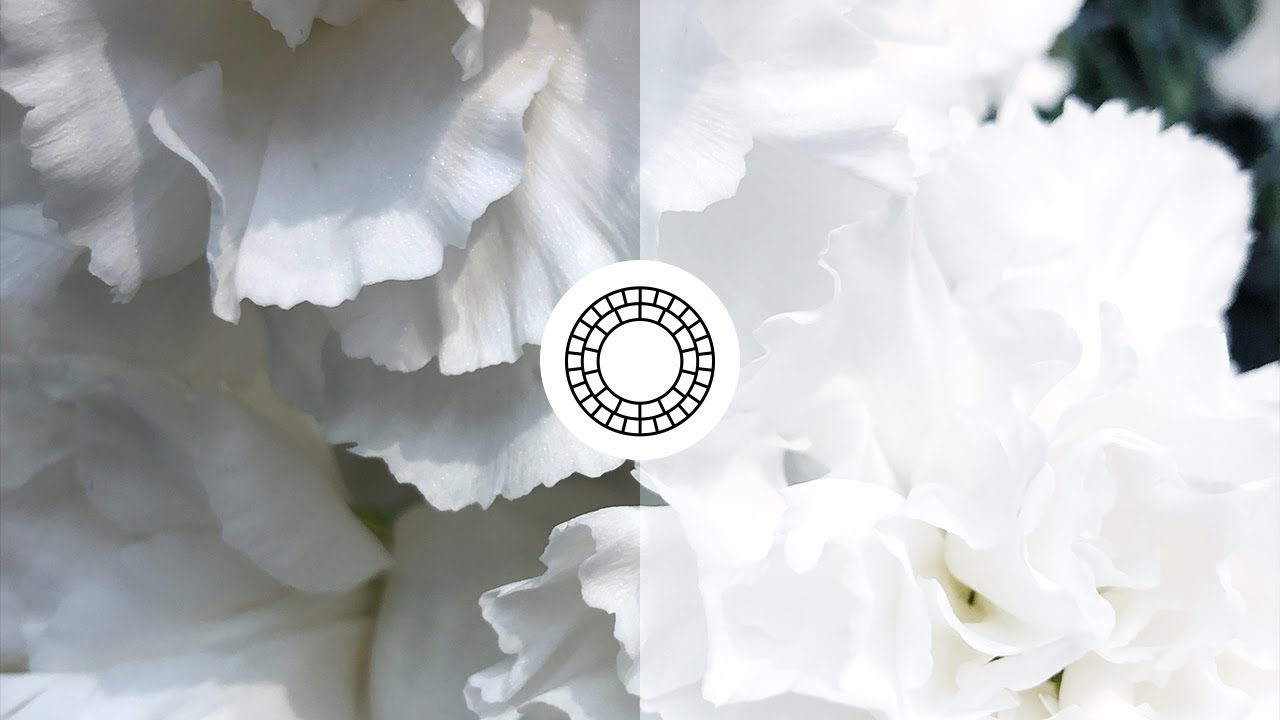 How To Edit Photos For The White Theme In VSCO  YouTube
